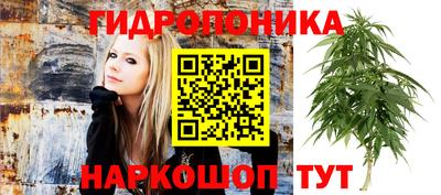 марихуана Свободный
