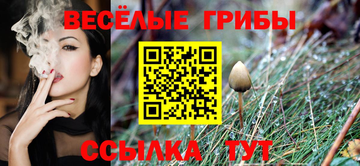 Псилоцибиновые грибы MAGIC MUSHROOMS  Вход с VPN  Новосибирск 