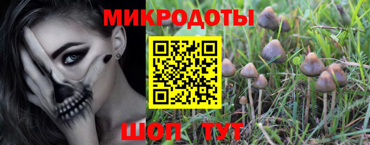 Галлюциногенные грибы мухоморы Новосибирск